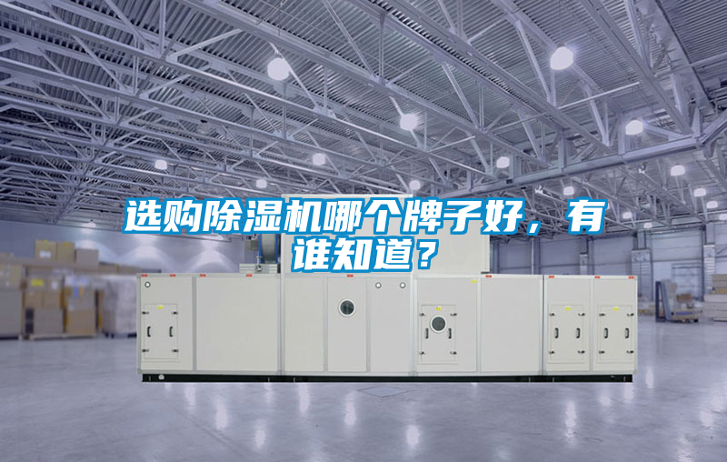 選購(gòu)除濕機(jī)哪個(gè)牌子好，有誰(shuí)知道？