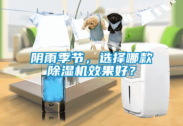 陰雨季節(jié)，選擇哪款除濕機(jī)效果好？