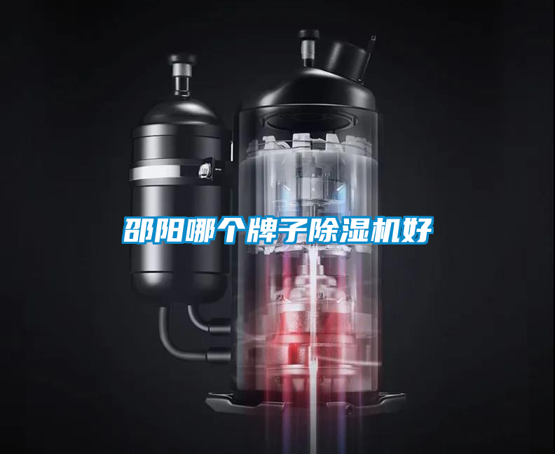 邵陽哪個牌子除濕機(jī)好