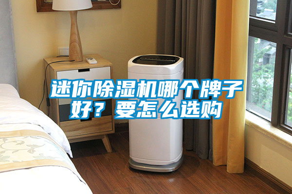 迷你除濕機哪個牌子好？要怎么選購