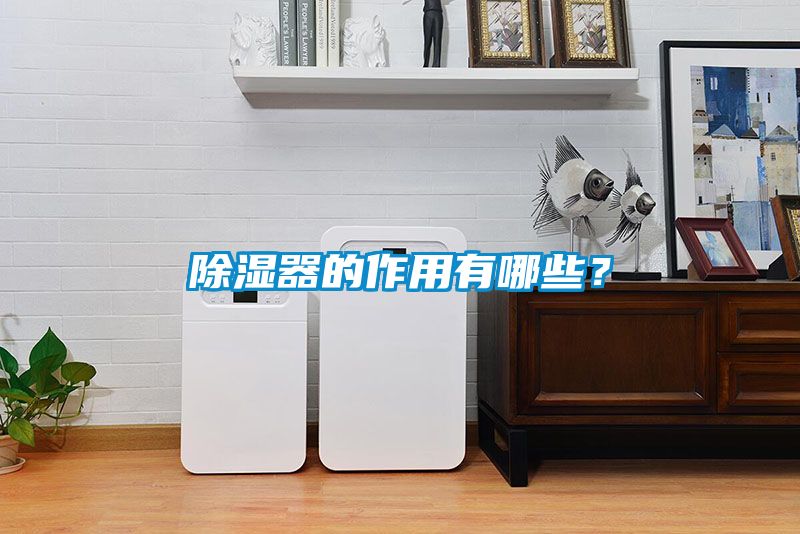 除濕器的作用有哪些？