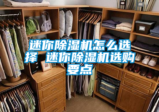 迷你除濕機(jī)怎么選擇 迷你除濕機(jī)選購(gòu)要點(diǎn)