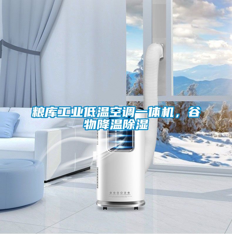 糧庫工業(yè)低溫空調(diào)一體機(jī)，谷物降溫除濕