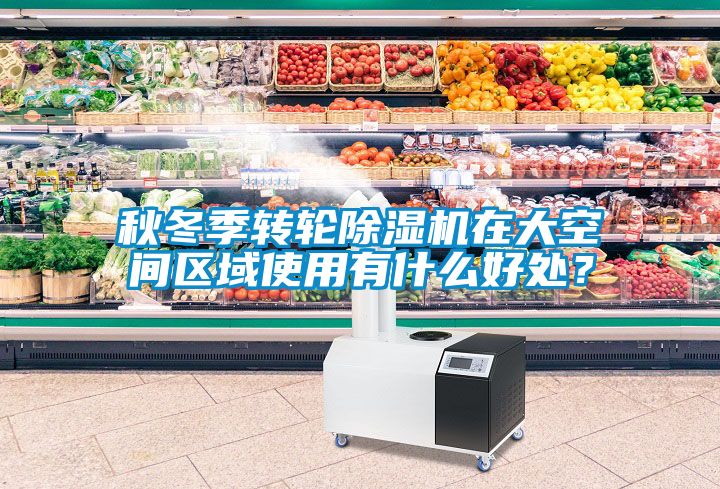 秋冬季轉(zhuǎn)輪除濕機在大空間區(qū)域使用有什么好處？