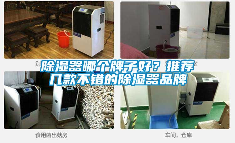 除濕器哪個(gè)牌子好？推薦幾款不錯(cuò)的除濕器品牌