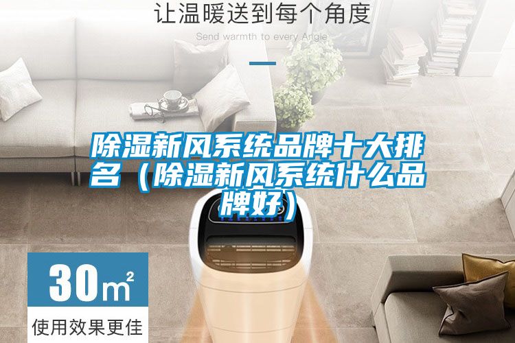 除濕新風系統(tǒng)品牌十大排名（除濕新風系統(tǒng)什么品牌好）