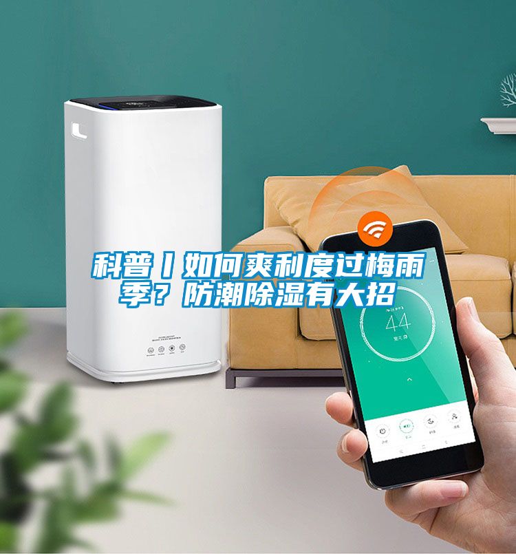 科普丨如何爽利度過(guò)梅雨季？防潮除濕有大招