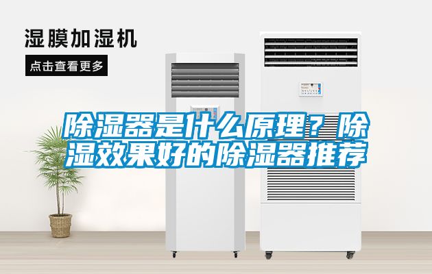 除濕器是什么原理？除濕效果好的除濕器推薦