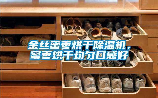 金絲蜜棗烘干除濕機(jī)，蜜棗烘干均勻口感好