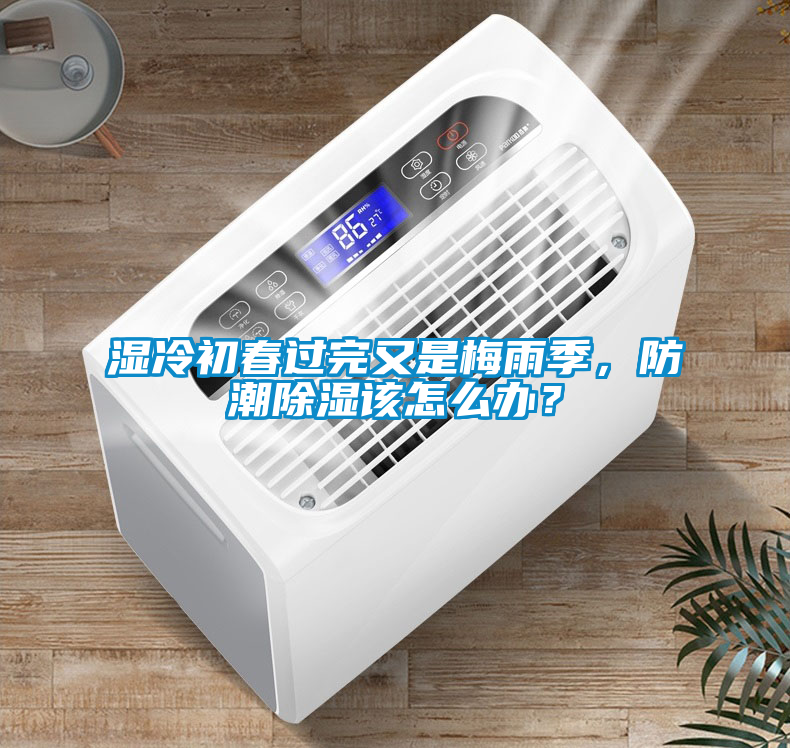 濕冷初春過完又是梅雨季，防潮除濕該怎么辦？