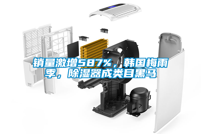 銷量激增587%，韓國(guó)梅雨季，除濕器成類目黑馬