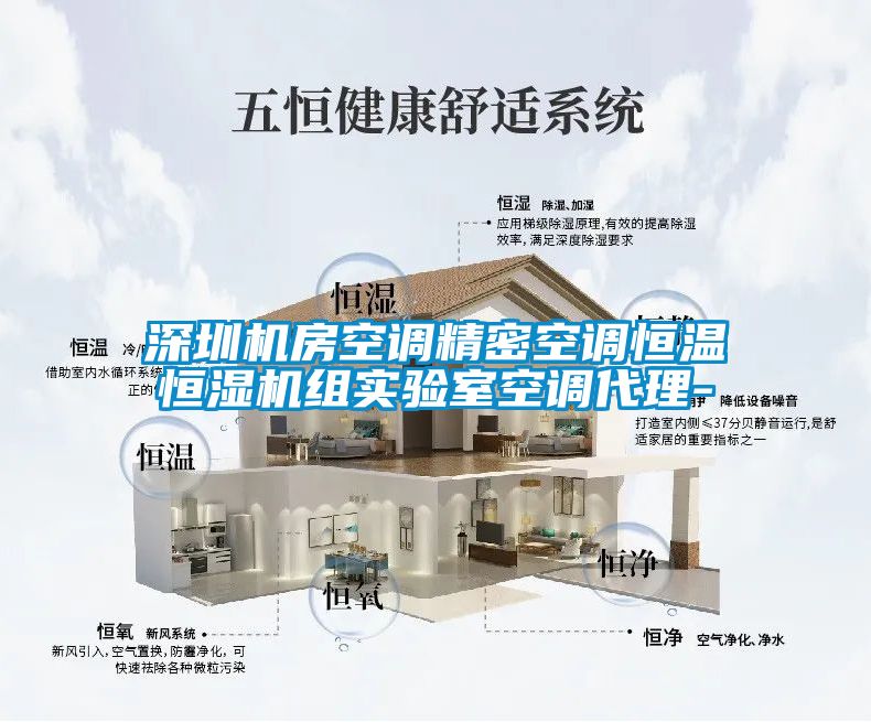 深圳機(jī)房空調(diào)精密空調(diào)恒溫恒濕機(jī)組實(shí)驗(yàn)室空調(diào)代理-
