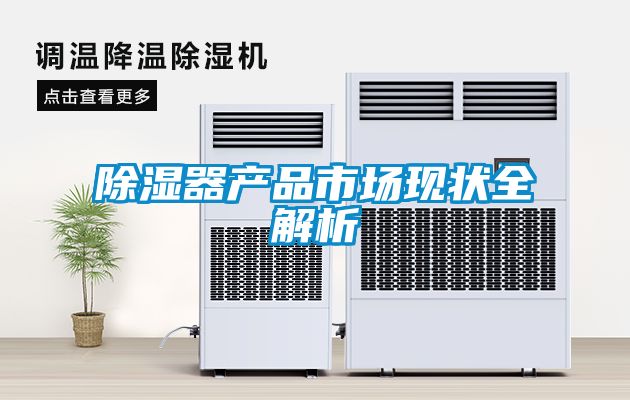 除濕器產(chǎn)品市場(chǎng)現(xiàn)狀全解析