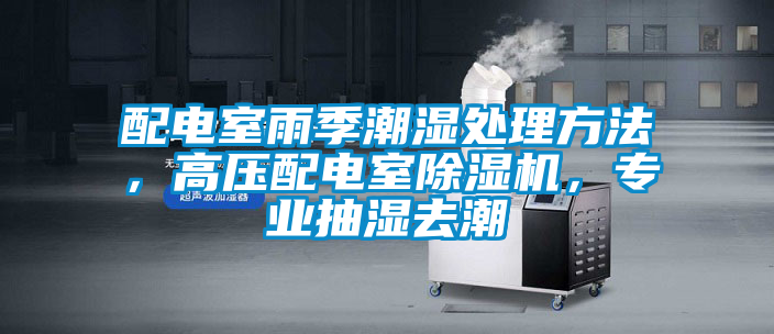 配電室雨季潮濕處理方法，高壓配電室除濕機，專業(yè)抽濕去潮