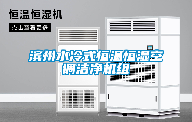濱州水冷式恒溫恒濕空調(diào)潔凈機組