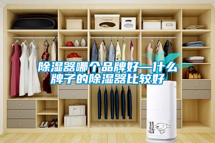 除濕器哪個(gè)品牌好—什么牌子的除濕器比較好