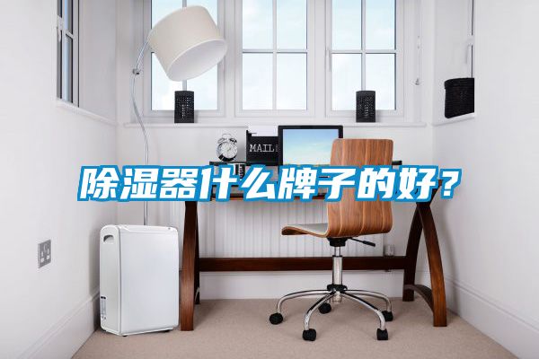 除濕器什么牌子的好？