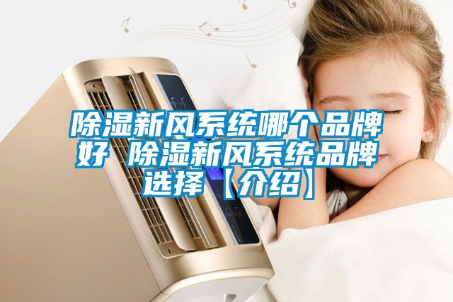 除濕新風系統(tǒng)哪個品牌好 除濕新風系統(tǒng)品牌選擇【介紹】