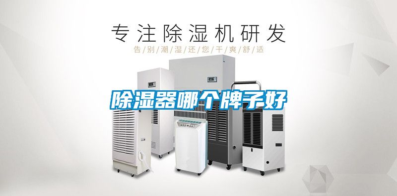 除濕器哪個(gè)牌子好