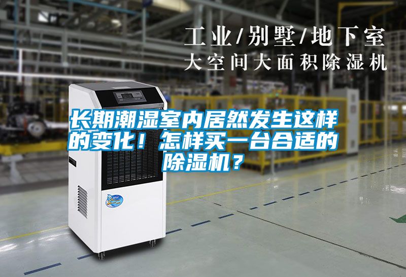 長(zhǎng)期潮濕室內(nèi)居然發(fā)生這樣的變化！怎樣買(mǎi)一臺(tái)合適的除濕機(jī)？