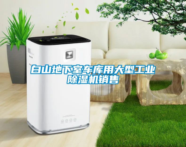 白山地下室車庫(kù)用大型工業(yè)除濕機(jī)銷售
