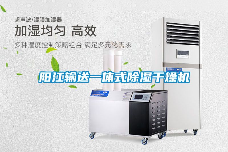 陽(yáng)江輸送一體式除濕干燥機(jī)