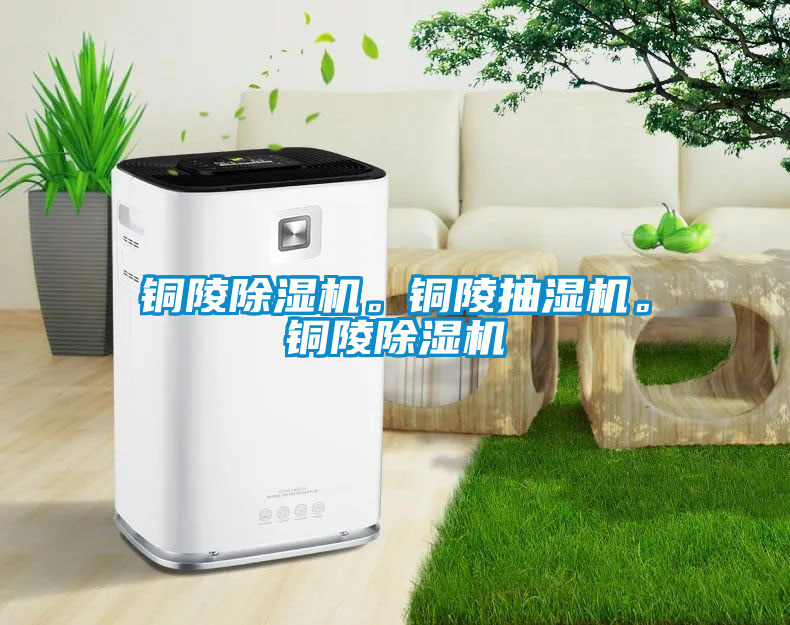 銅陵除濕機(jī)。銅陵抽濕機(jī)。銅陵除濕機(jī)