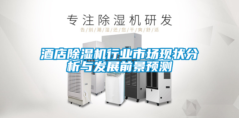酒店除濕機(jī)行業(yè)市場(chǎng)現(xiàn)狀分析與發(fā)展前景預(yù)測(cè)