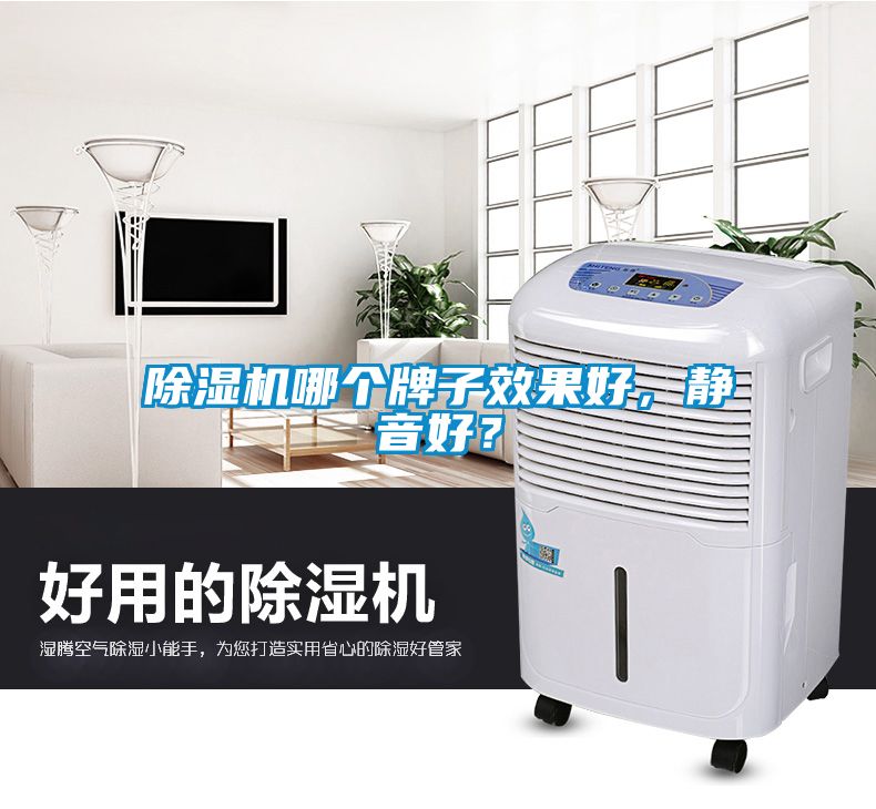 除濕機(jī)哪個(gè)牌子效果好，靜音好？