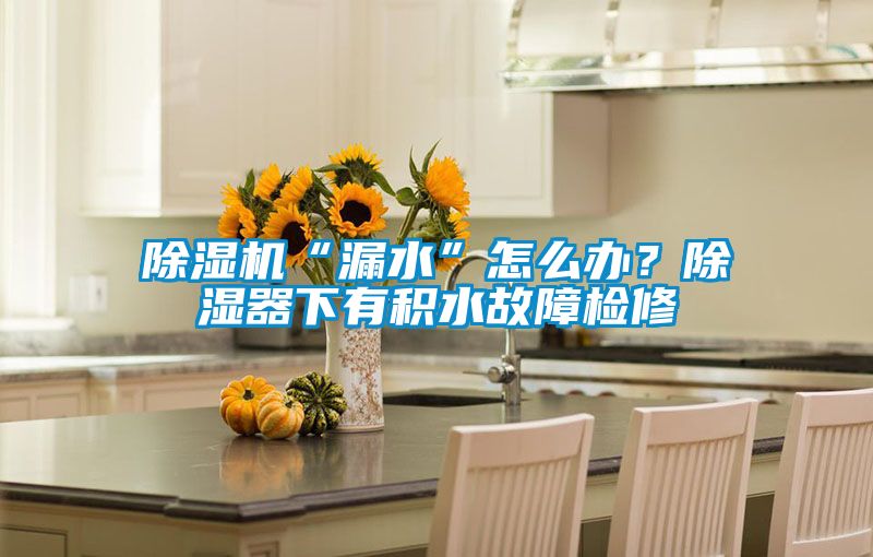 除濕機(jī)“漏水”怎么辦？除濕器下有積水故障檢修