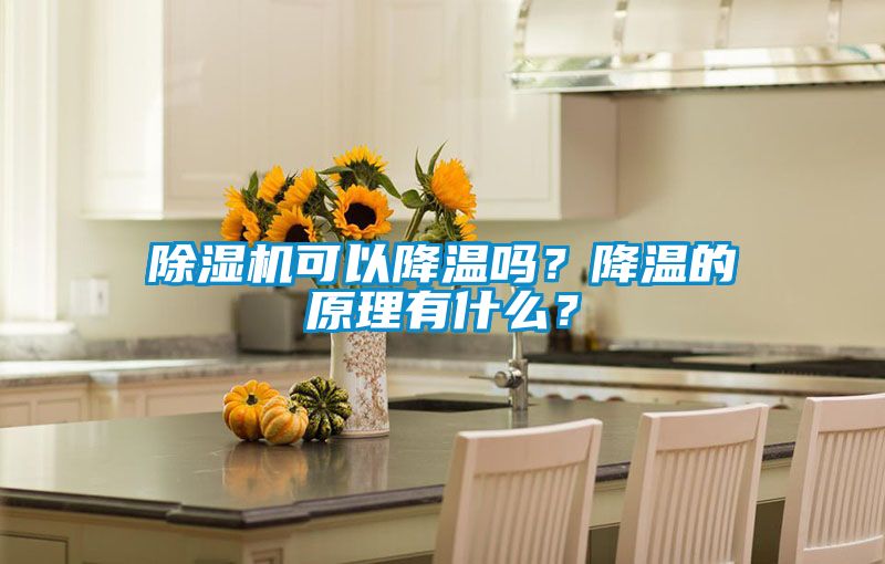 除濕機(jī)可以降溫嗎？降溫的原理有什么？
