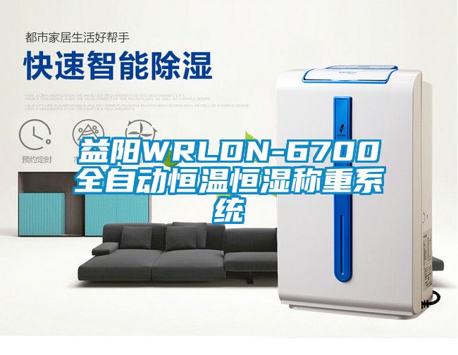 益陽WRLDN-6700全自動(dòng)恒溫恒濕稱重系統(tǒng)