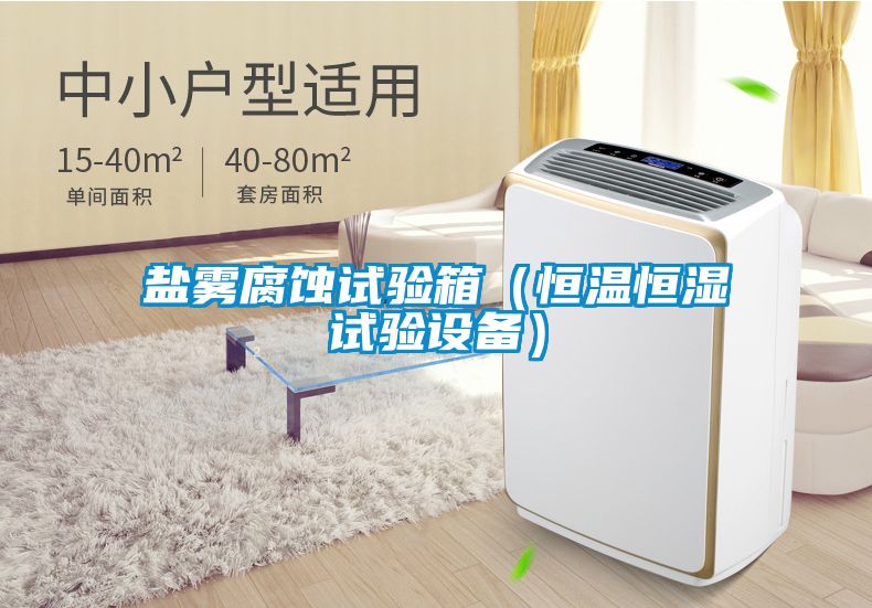鹽霧腐蝕試驗(yàn)箱（恒溫恒濕試驗(yàn)設(shè)備）