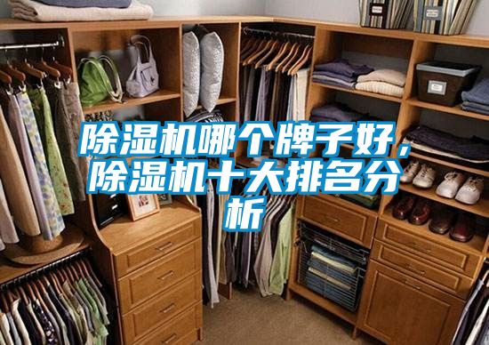 除濕機哪個牌子好，除濕機十大排名分析