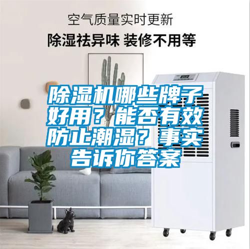 除濕機哪些牌子好用？能否有效防止潮濕？事實告訴你答案