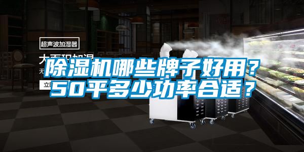 除濕機哪些牌子好用？50平多少功率合適？