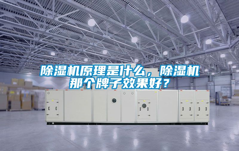 除濕機原理是什么，除濕機那個牌子效果好？