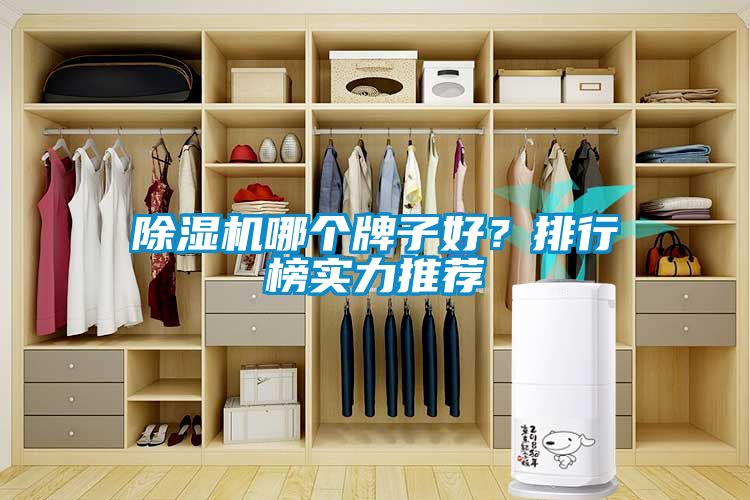 除濕機哪個牌子好？排行榜實力推薦