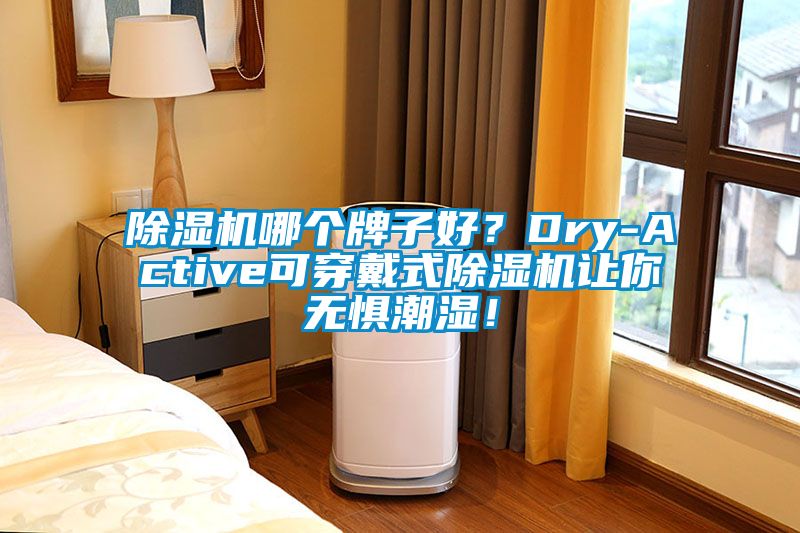 除濕機哪個牌子好？Dry-Active可穿戴式除濕機讓你無懼潮濕！