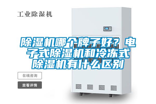 除濕機哪個牌子好？電子式除濕機和冷凍式除濕機有什么區(qū)別