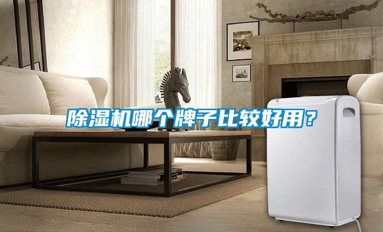 除濕機哪個牌子比較好用？