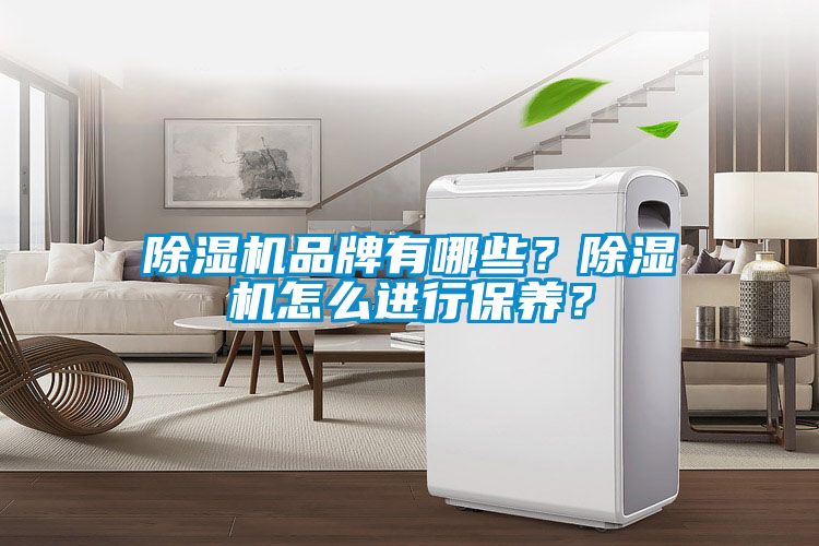 除濕機品牌有哪些？除濕機怎么進行保養(yǎng)？