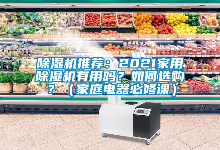 除濕機(jī)推薦：2021家用除濕機(jī)有用嗎？如何選購(gòu)？（家庭電器必修課）