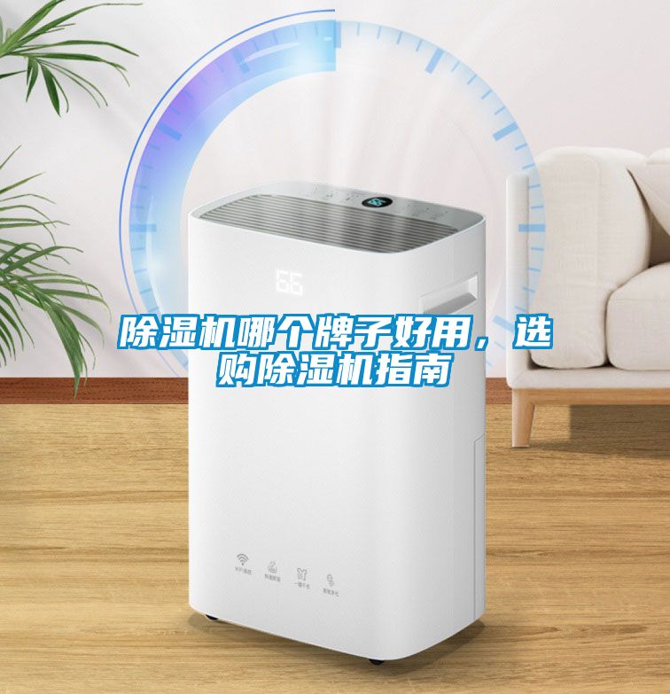除濕機(jī)哪個(gè)牌子好用，選購(gòu)除濕機(jī)指南