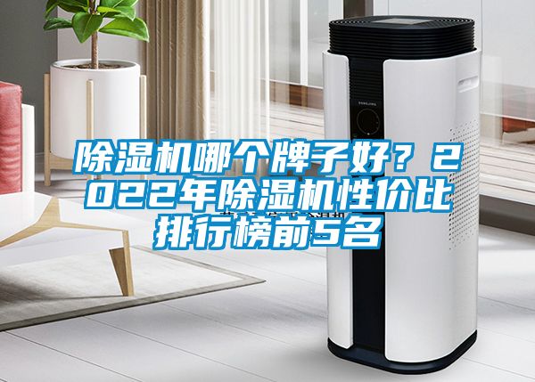 除濕機哪個牌子好？2022年除濕機性價比排行榜前5名