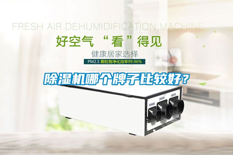 除濕機哪個牌子比較好？