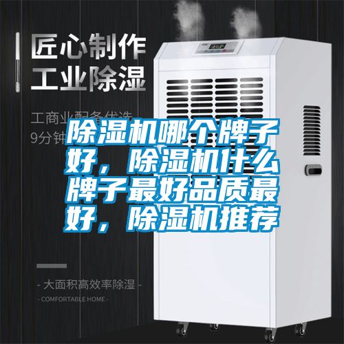 除濕機哪個牌子好，除濕機什么牌子最好品質(zhì)最好，除濕機推薦