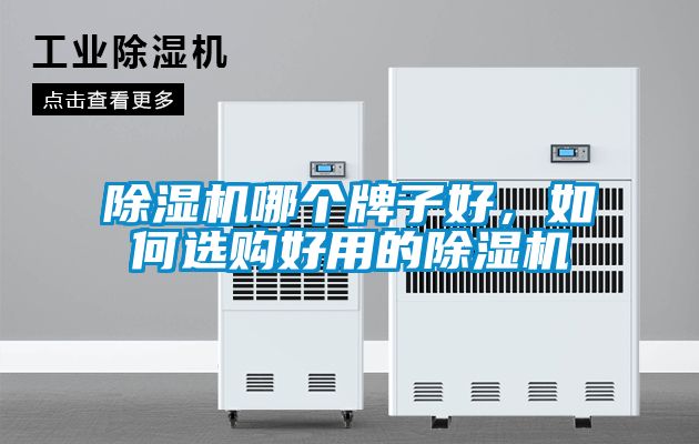 除濕機哪個牌子好，如何選購好用的除濕機