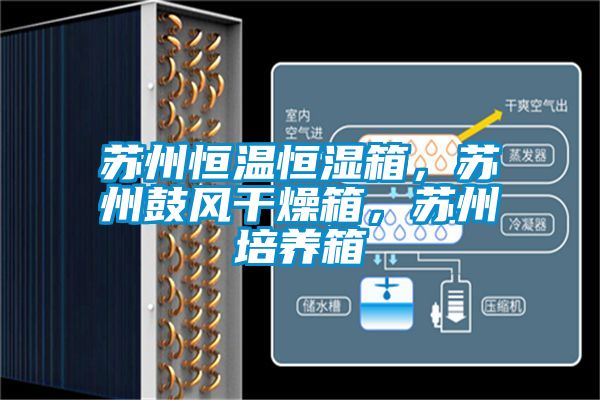 蘇州恒溫恒濕箱，蘇州鼓風(fēng)干燥箱，蘇州培養(yǎng)箱