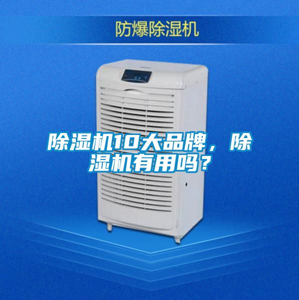 除濕機10大品牌，除濕機有用嗎？